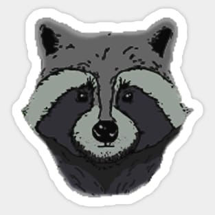 Raccoon Sticker